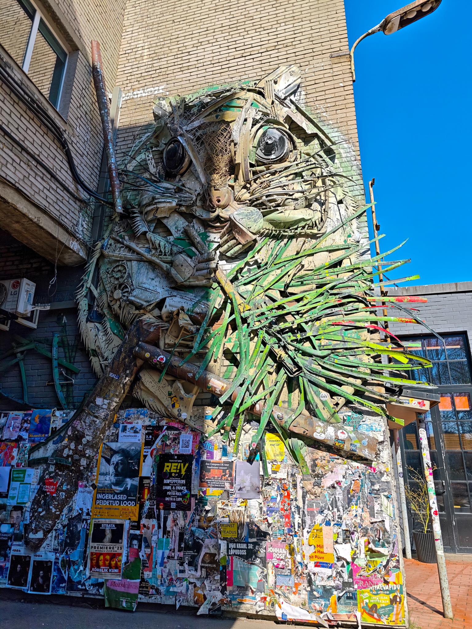 MVIMG 35250415 131943