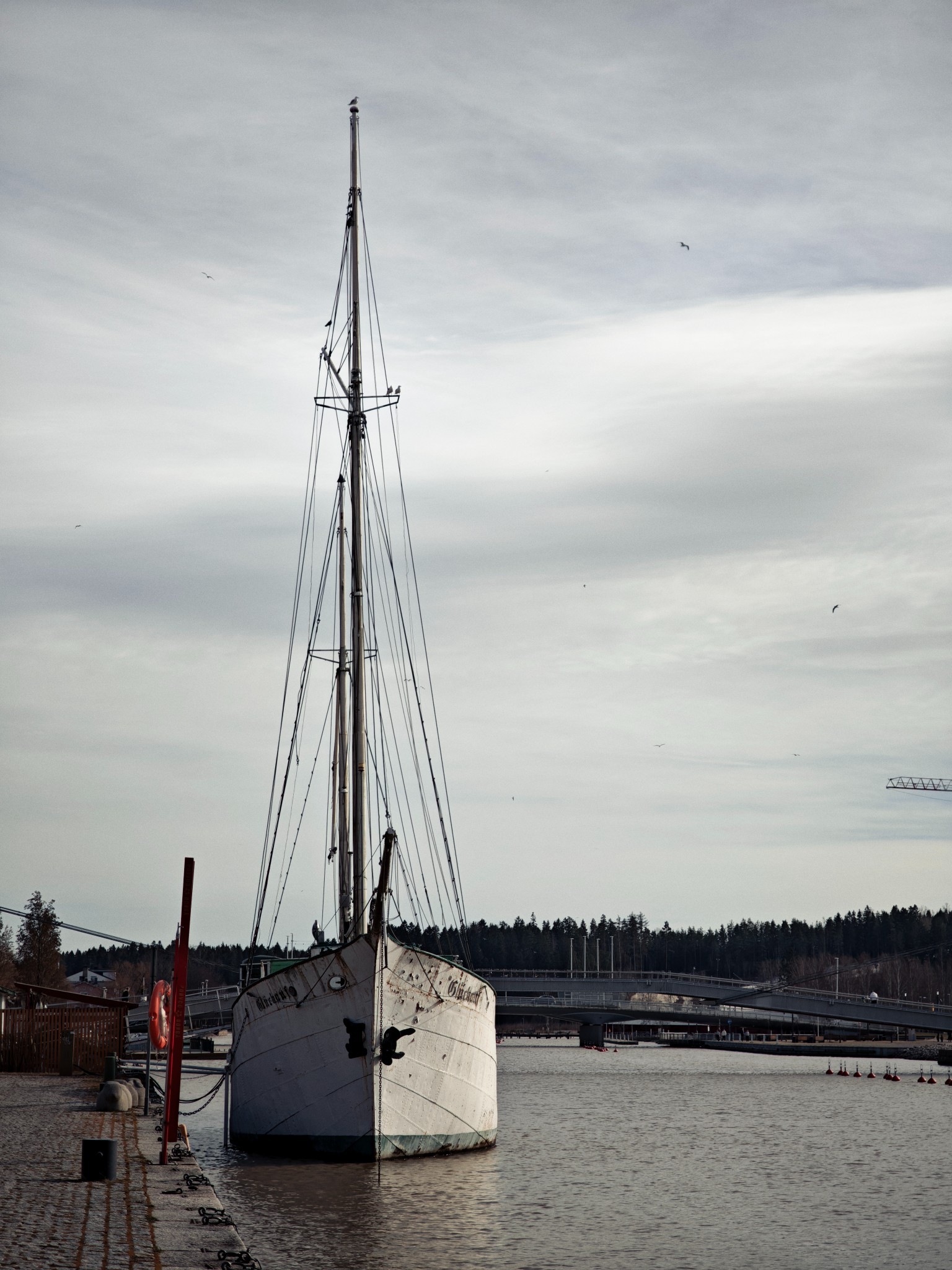 MVIMG 20250402 154823